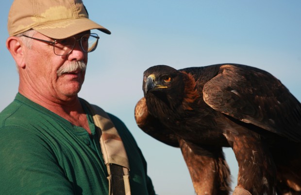 Falconry